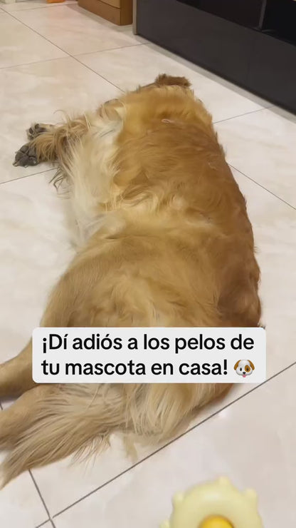 🧼 Cepillo para mascotas 🐱