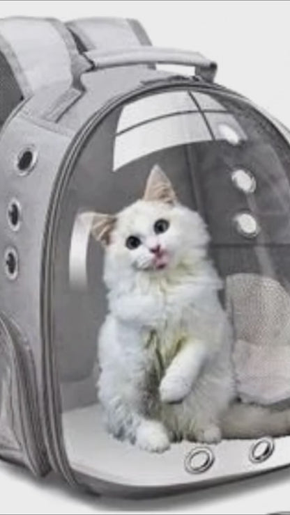 😻Maleta Astronauta para mascotas 🐈‍⬛